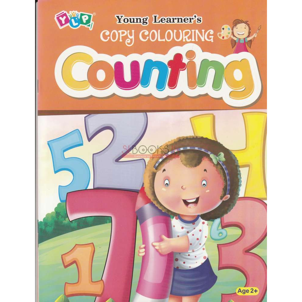 Copy Colouring Counting